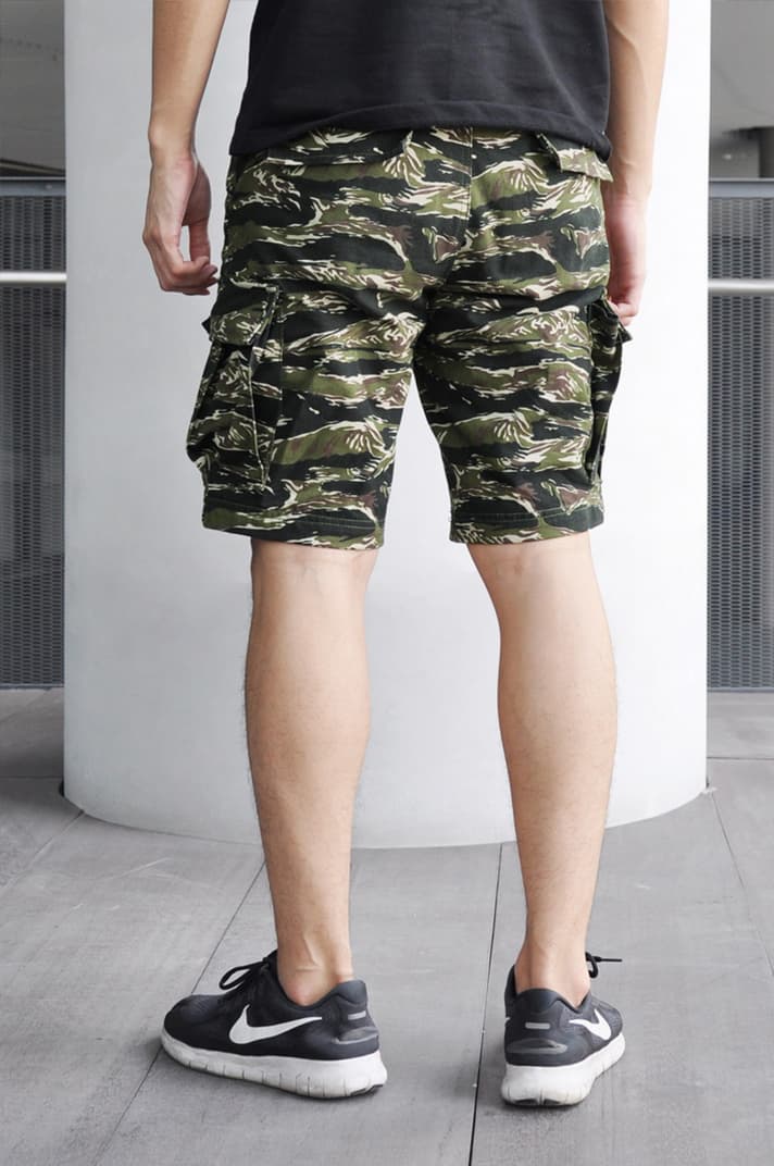 Sk834 Tiger Cargo